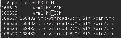unable to connect to the mks error connecting to /bin/vmx