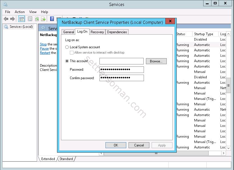 How to configure a NetBackup policy to protect Microsoft SQL databases 13