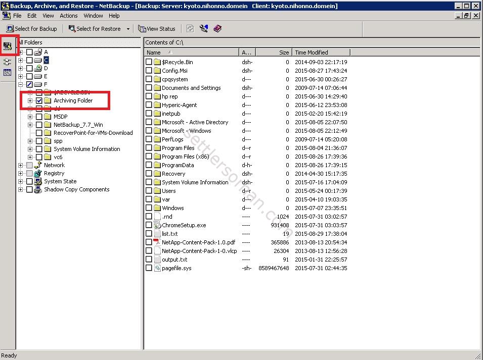 How to archive files using a NetBackup policy Windows BAR GUI