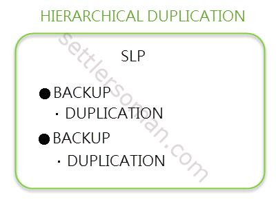 NetBackup Storage Lifecycle Policy (SLP): Overview - hierarchical duplication