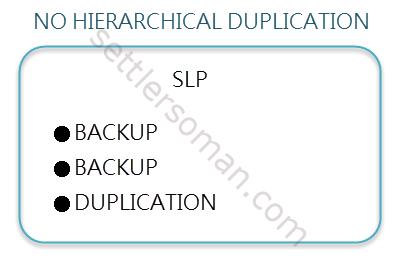 NetBackup Storage Lifecycle Policy (SLP): Overview - no hierarchical duplication