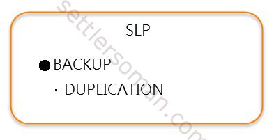 NetBackup Storage Lifecycle Policy (SLP): Overview - typical