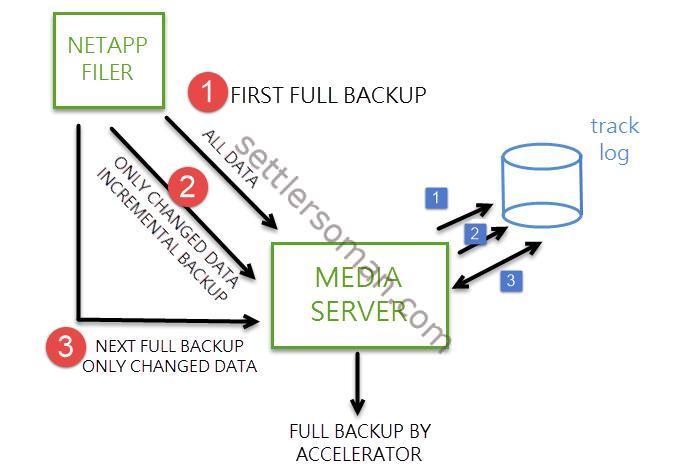 NetBackup Accelerator for NDMP for NetApp Filers - Process