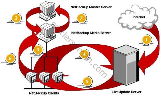 NetBackup LiveUpdate process