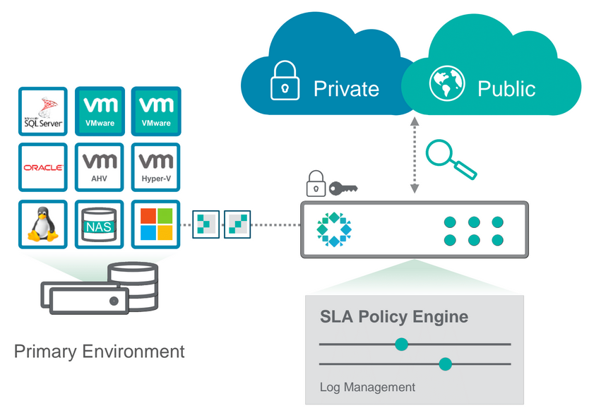 rubrik_general