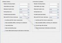 Veritas NetBackup 7.7 features: SQL Intelligent Policy SIP 14