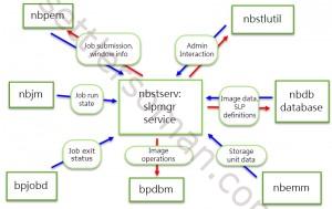 netbackup lifecycle settlersoman