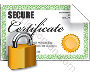 VMware SSL