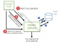 NetBackup Accelerator for NDMP for NetApp Filers - Process