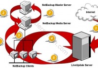 NetBackup LiveUpdate process